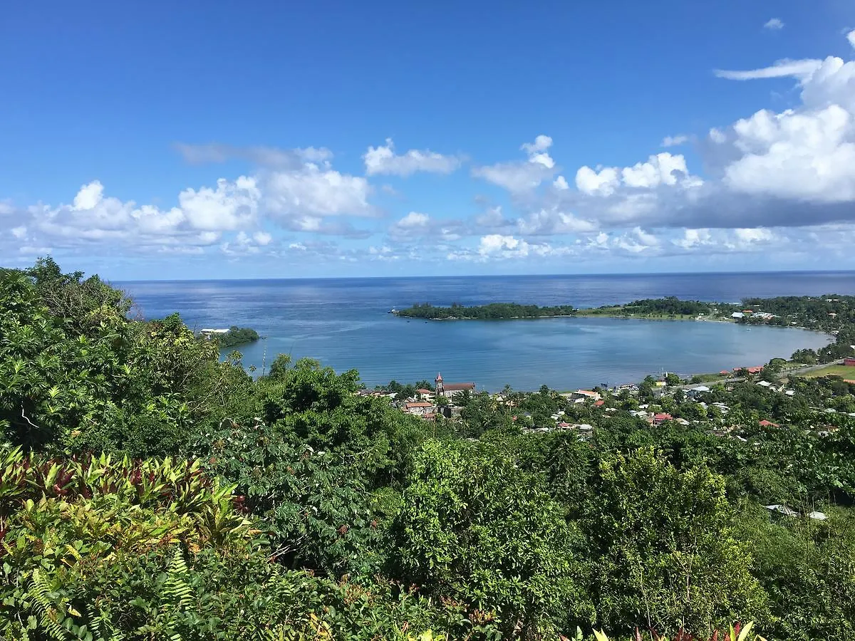 Treetops Villa Port Antonio Jamaica