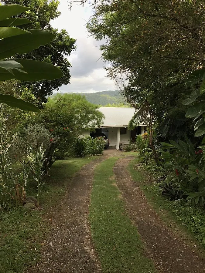 Treetops Villa Port Antonio