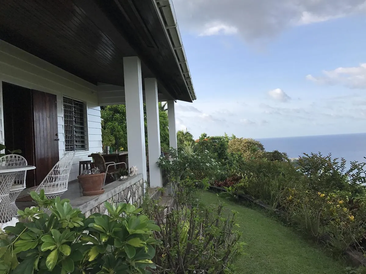 Treetops Villa Port Antonio