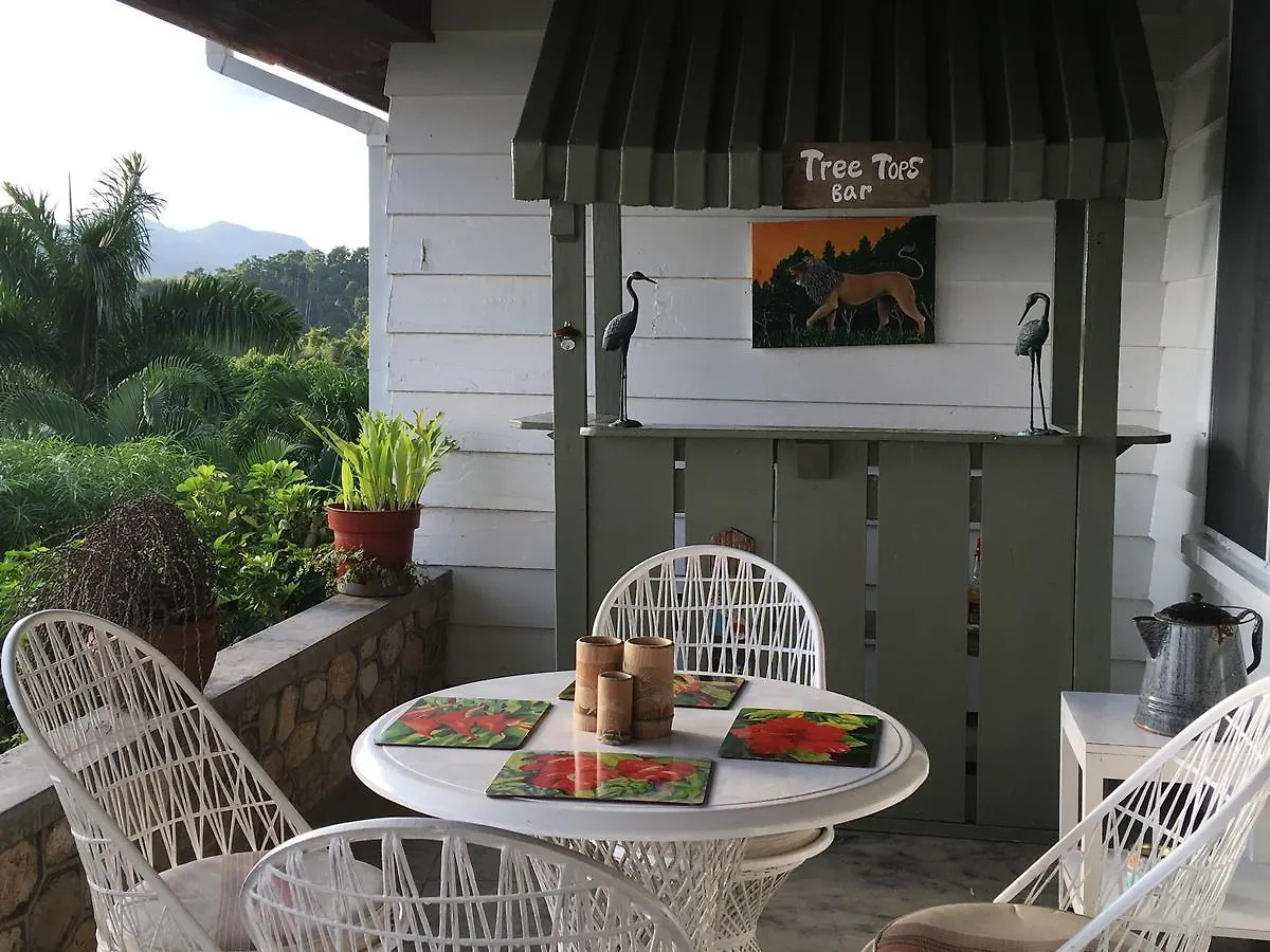 Treetops Villa Port Antonio Jamaica