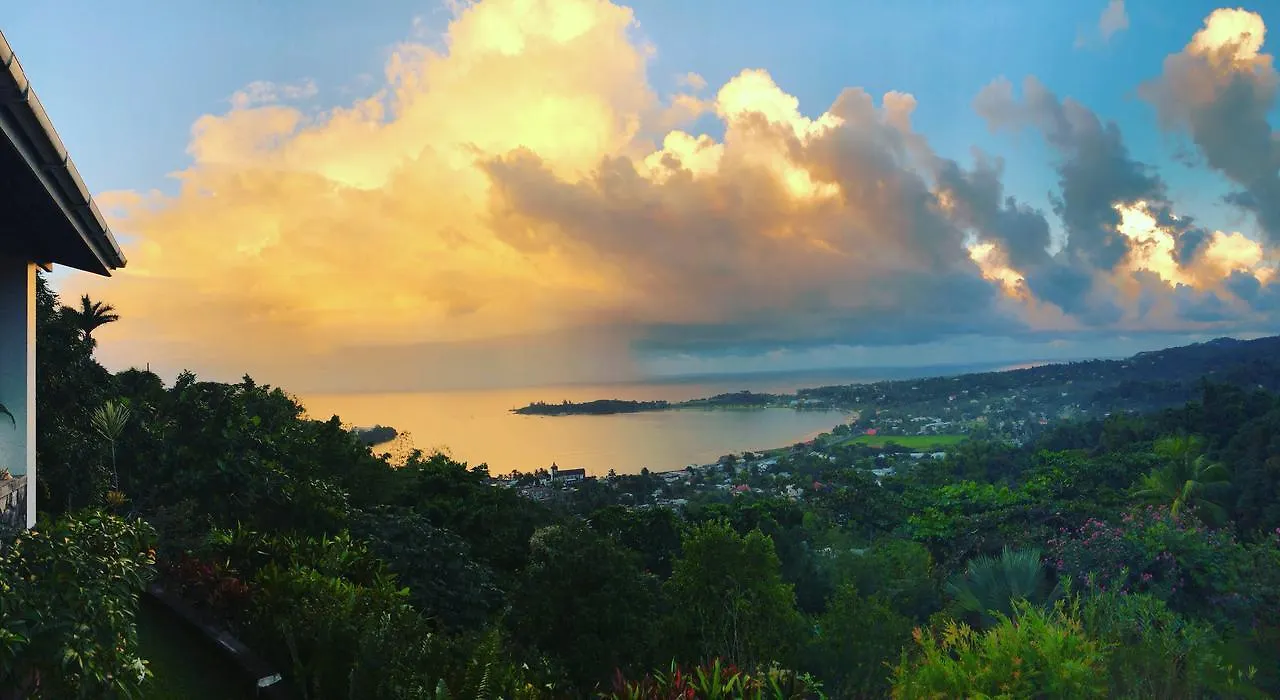 Treetops Villa Port Antonio Jamaica