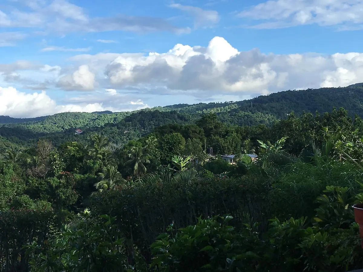 Treetops Villa Port Antonio