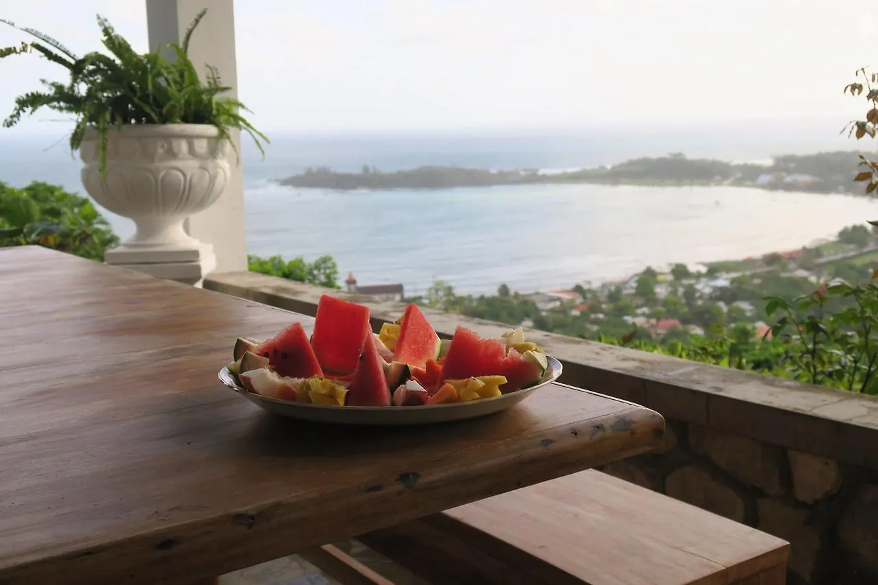 Treetops Villa Port Antonio