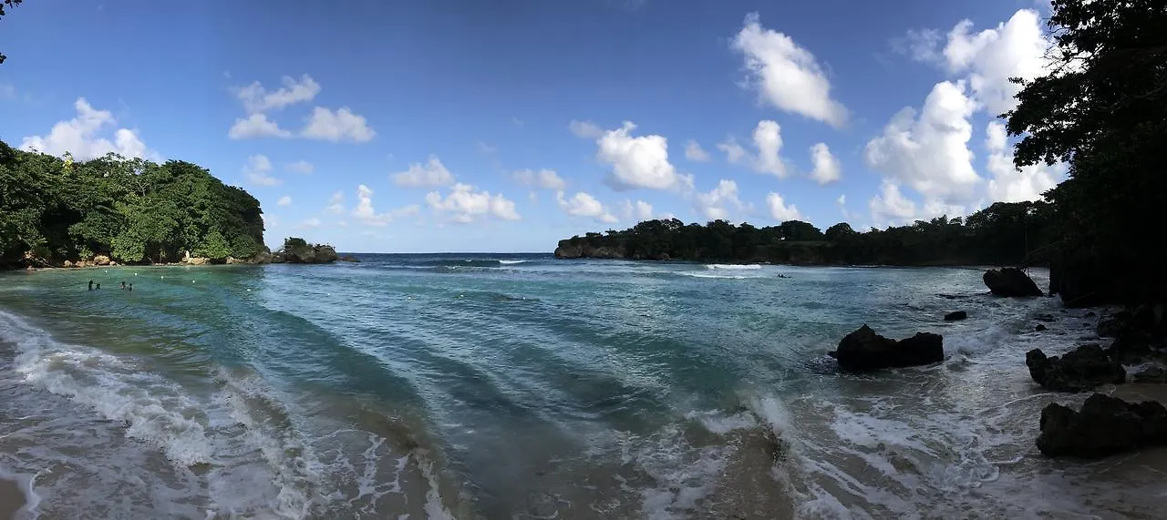 Treetops Villa Port Antonio