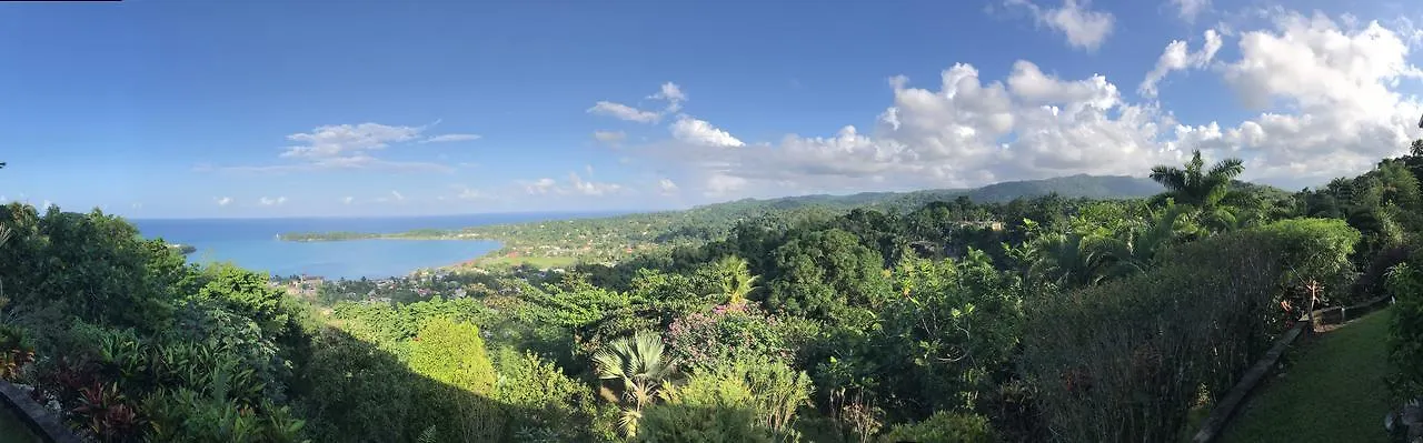 Treetops Villa Port Antonio Jamaica